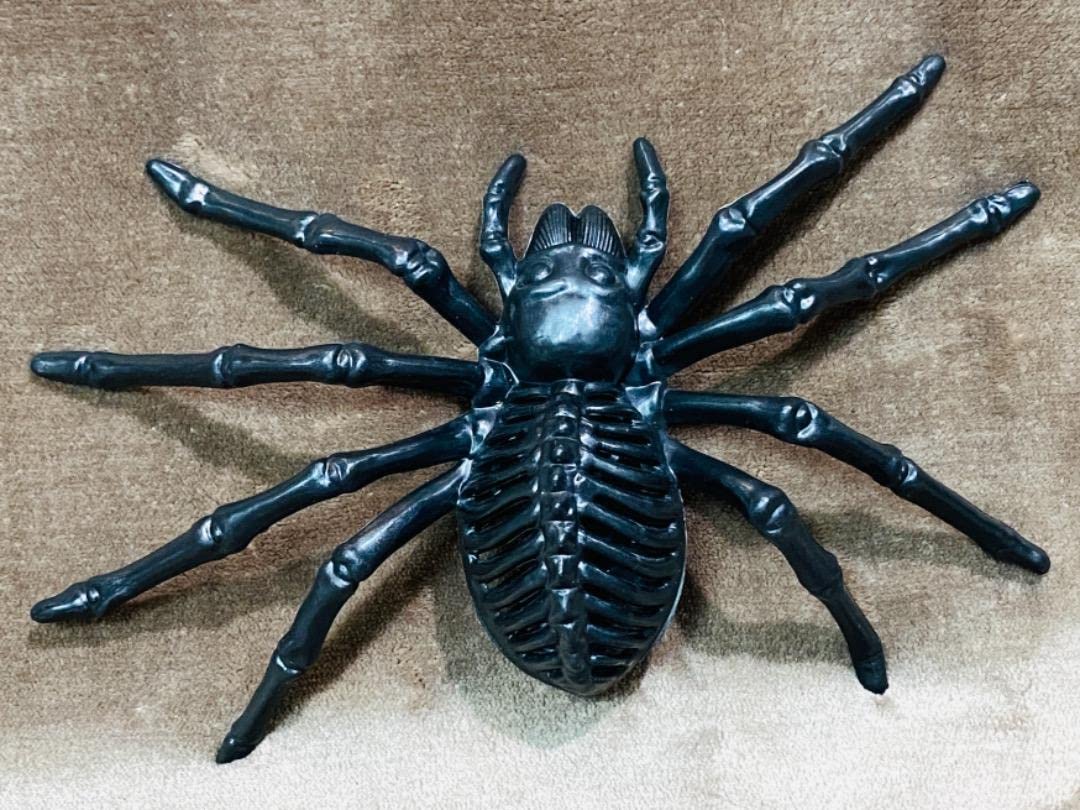 クルバ・クリサナ師 蜘蛛（スパイダー)プラクルアン 龍宝丸 天敵で虫除け 女郎蜘蛛(ジョロウグモ) M-46 クモの巣、ガ